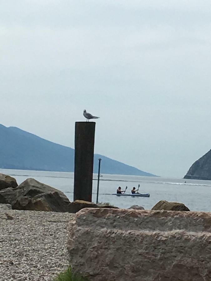 Appartamenti Ora Del Garda トルボレ エクステリア 写真